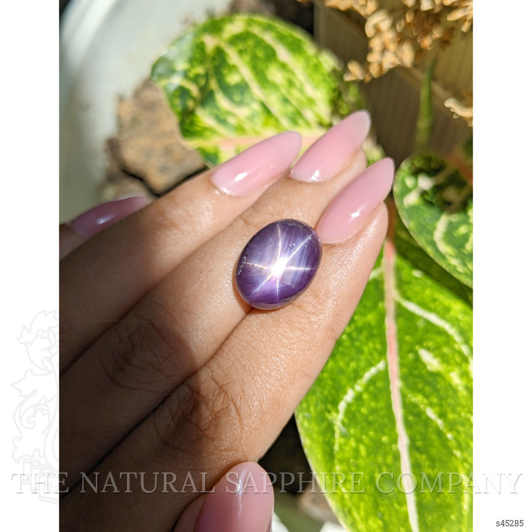 17.03 Ct. Purple Star Sapphire from Ceylon (Sri Lanka)