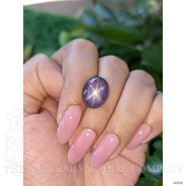 16.16 Ct. Purple Star Sapphire from Ceylon (Sri Lanka)