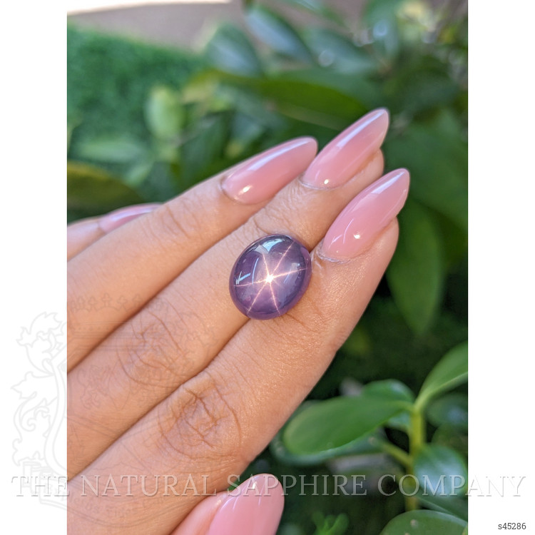 16.16 Ct. Purple Star Sapphire from Ceylon (Sri Lanka)