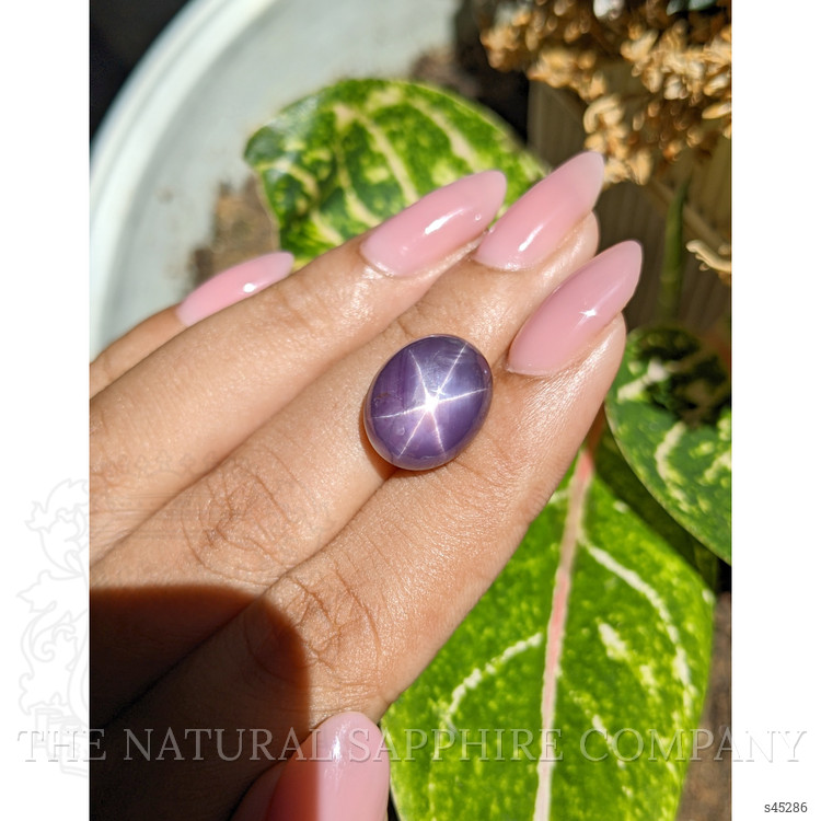 16.16 Ct. Purple Star Sapphire from Ceylon (Sri Lanka)
