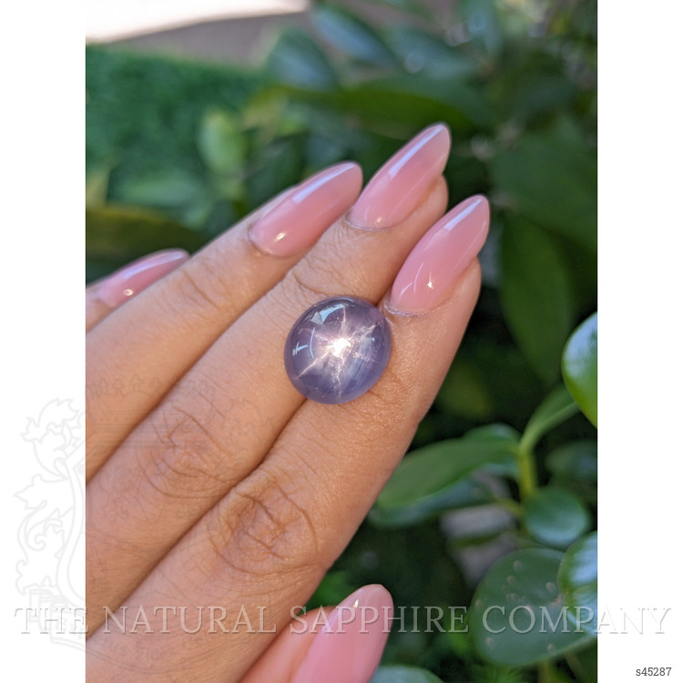 14.12 Ct. Purple Star Sapphire from Ceylon (Sri Lanka)