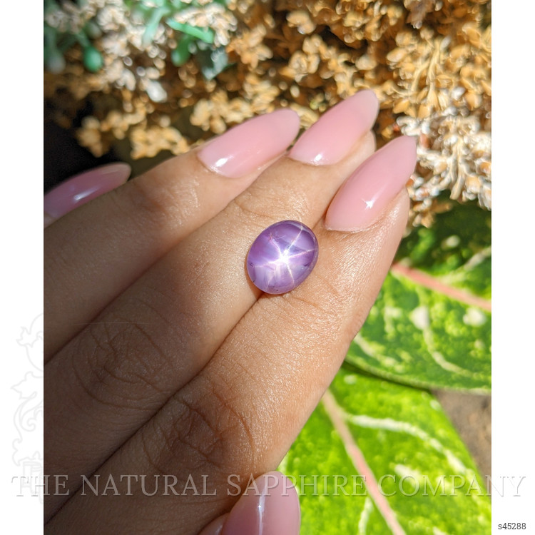 5.27 Ct. Purple Star Sapphire from Ceylon (Sri Lanka)