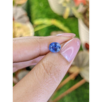 1.78 Ct. Blue Sapphire from Ceylon (Sri Lanka) Life Style