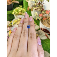 1.77 Ct. Blue Sapphire from Ceylon (Sri Lanka) Life Style