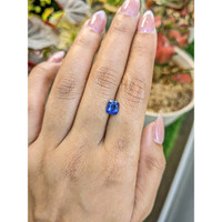 1.56 Ct. Blue Sapphire from Ceylon (Sri Lanka) Life Style