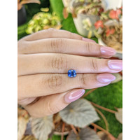 1.63 Ct. Blue Sapphire from Ceylon (Sri Lanka) Life Style