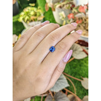 1.63 Ct. Blue Sapphire from Ceylon (Sri Lanka) Life Style