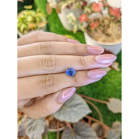 1.80 Ct. Blue Sapphire from Ceylon (Sri Lanka) Life Style
