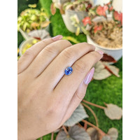 1.80 Ct. Blue Sapphire from Ceylon (Sri Lanka) Life Style