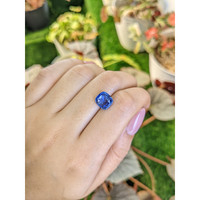 4.16 Ct. Blue Sapphire from Ceylon (Sri Lanka) Life Style