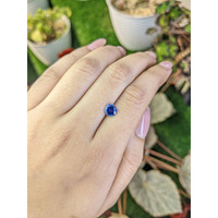 1.00 Ct. Blue Sapphire from Ceylon (Sri Lanka) Life Style