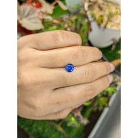 1.33 Ct. Blue Sapphire from Ceylon (Sri Lanka) Life Style