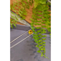 1.86 Ct. Orangish Yellow Sapphire from Ceylon (Sri Lanka) Life Style