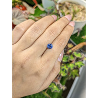 1.48 Ct. Blue Sapphire from Ceylon (Sri Lanka) Life Style