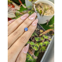 1.48 Ct. Blue Sapphire from Ceylon (Sri Lanka) Life Style