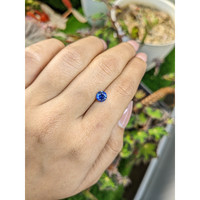 1.03 Ct. Blue Sapphire from Ceylon (Sri Lanka) Life Style