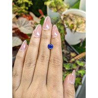1.53 Ct. Blue Sapphire from Ceylon (Sri Lanka) Life Style