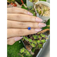1.53 Ct. Blue Sapphire from Ceylon (Sri Lanka) Life Style