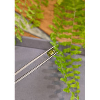 2.49 Ct. Yellowish Green Sapphire from Madagascar Life Style