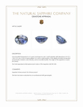 3.19 Ct. Bi Color / Parti Sapphire from Ceylon (Sri Lanka) Appraisal