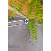 3.19 Ct. Bi Color / Parti Sapphire from Ceylon (Sri Lanka) Life Style