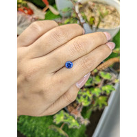 1.21 Ct. Blue Sapphire from Ceylon (Sri Lanka) Life Style