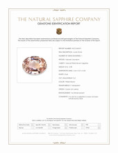 0.98 Ct. Pinkish Brown Sapphire from Ceylon (Sri Lanka) Scan Report