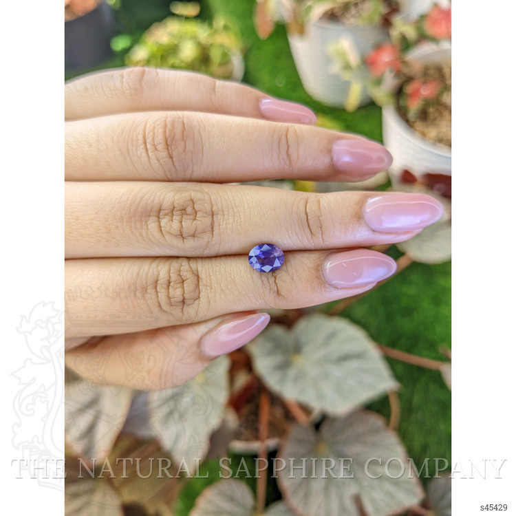 1.53 Ct. Purple Sapphire from Ceylon (Sri Lanka)