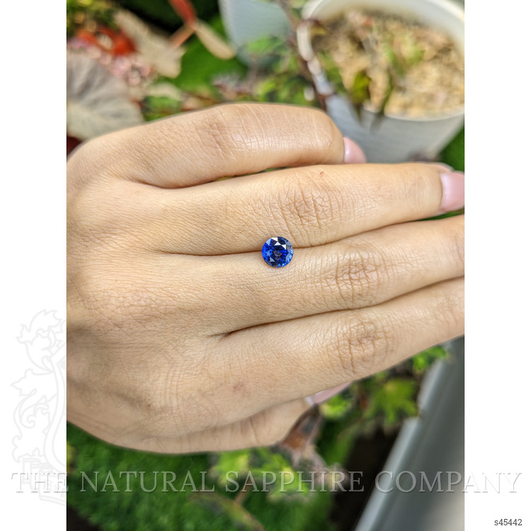 1.26 Ct. Blue Sapphire from Ceylon (Sri Lanka)