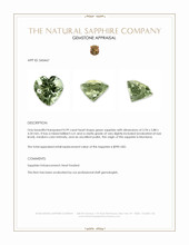 0.99 Ct. Green Sapphire from Montana Appraisal