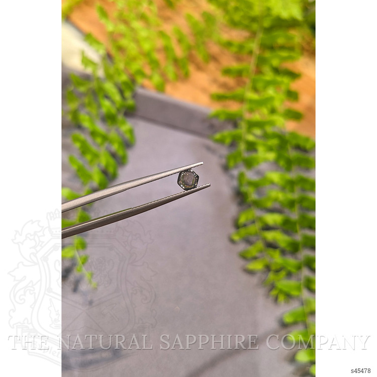 0.86 Ct. Grey Cabochon Sapphire from Montana