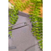 0.86 Ct. Grey Cabochon Sapphire from Montana Life Style