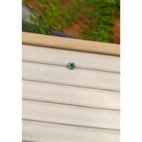 0.86 Ct. Bluish Green Sapphire from Montana Life Style