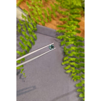 0.86 Ct. Bluish Green Sapphire from Montana Life Style