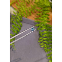 0.78 Ct. Greenish Blue Sapphire from Montana Life Style