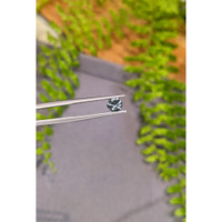 0.88 Ct. Bluish Green Sapphire from Montana Life Style