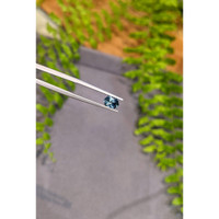 0.84 Ct. Bluish Green Sapphire from Montana Life Style