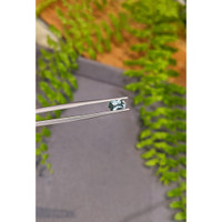 0.81 Ct. Bluish Green Sapphire from Montana Life Style