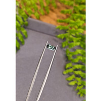 0.71 Ct. Bluish Green Sapphire from Montana Life Style
