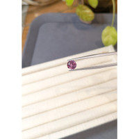 1.49 Ct. Pink Sapphire from Madagascar Life Style