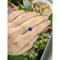 1.46 Ct. Blue Sapphire from Ceylon (Sri Lanka) Life Style