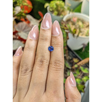 0.89 Ct. Blue Sapphire from Ceylon (Sri Lanka) Life Style