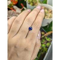 1.48 Ct. Blue Sapphire from Ceylon (Sri Lanka) Life Style