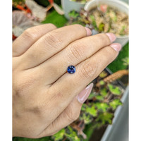 0.97 Ct. Blue Sapphire from Ceylon (Sri Lanka) Life Style