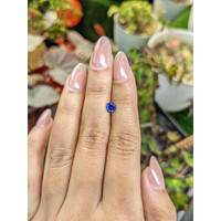 0.59 Ct. Blue Sapphire from Ceylon (Sri Lanka) Life Style
