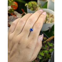 1.20 Ct. Blue Sapphire from Ceylon (Sri Lanka) Life Style
