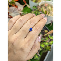 1.02 Ct. Blue Sapphire from Ceylon (Sri Lanka) Life Style