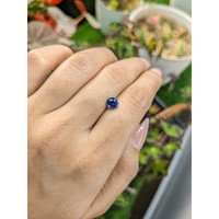 1.22 Ct. Blue Sapphire from Ceylon (Sri Lanka) Life Style