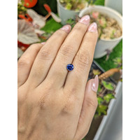 0.95 Ct. Blue Sapphire from Ceylon (Sri Lanka) Life Style