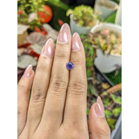1.19 Ct. Bluish Purple Sapphire from Ceylon (Sri Lanka) Life Style